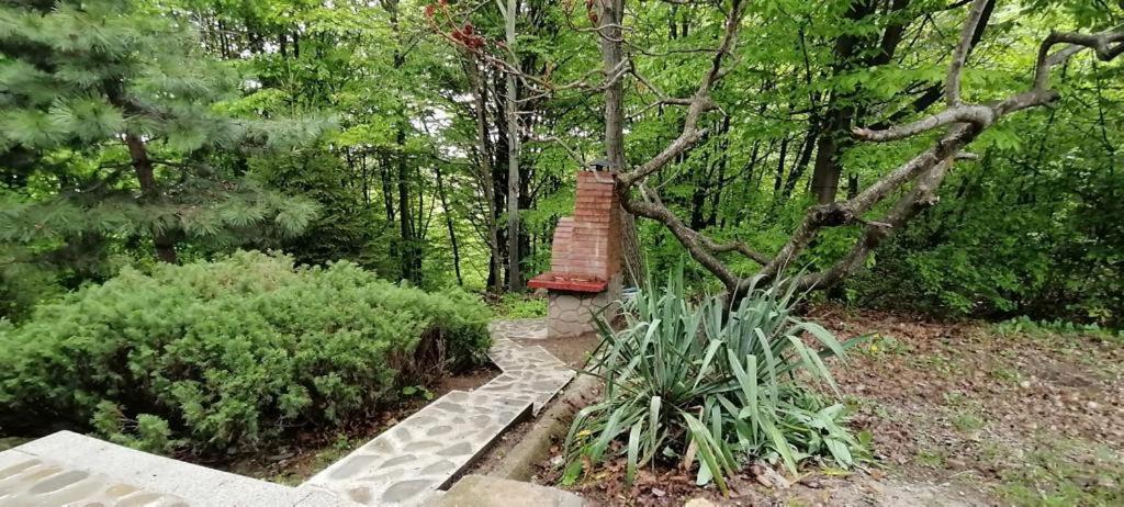 Cabana Din Padurea Valeni Vălenii de Munte Exteriör bild