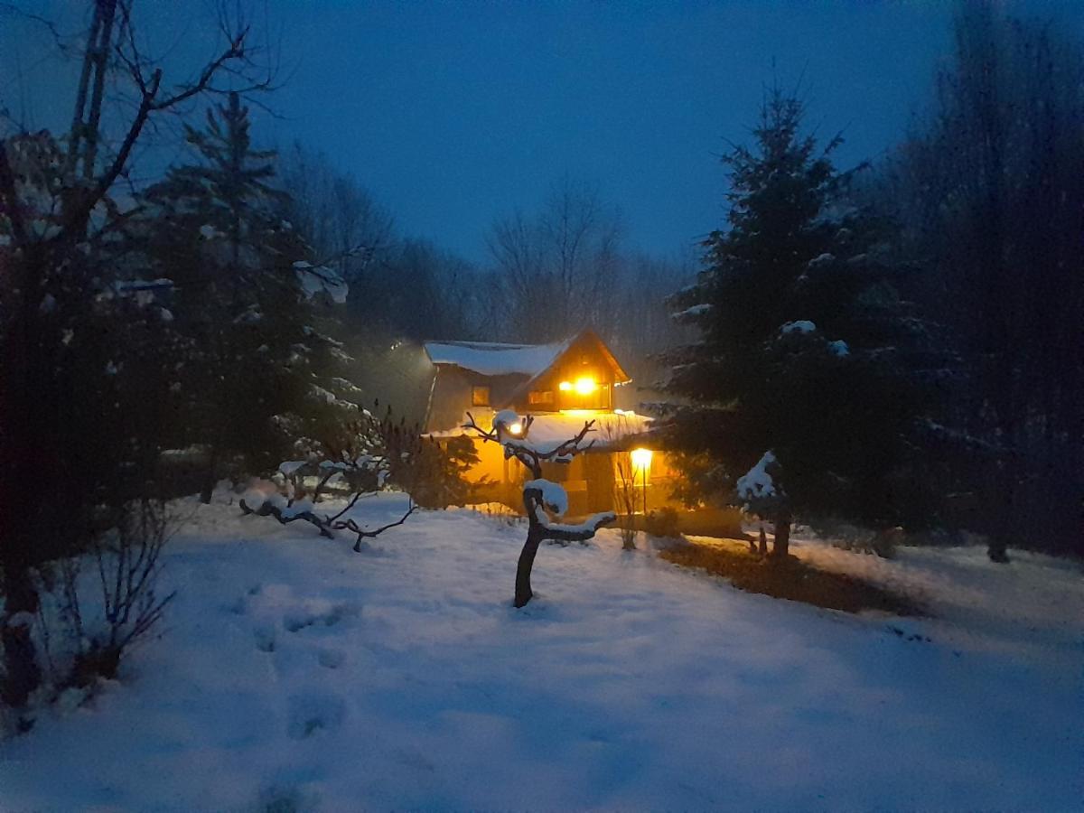 Cabana Din Padurea Valeni Vălenii de Munte Exteriör bild