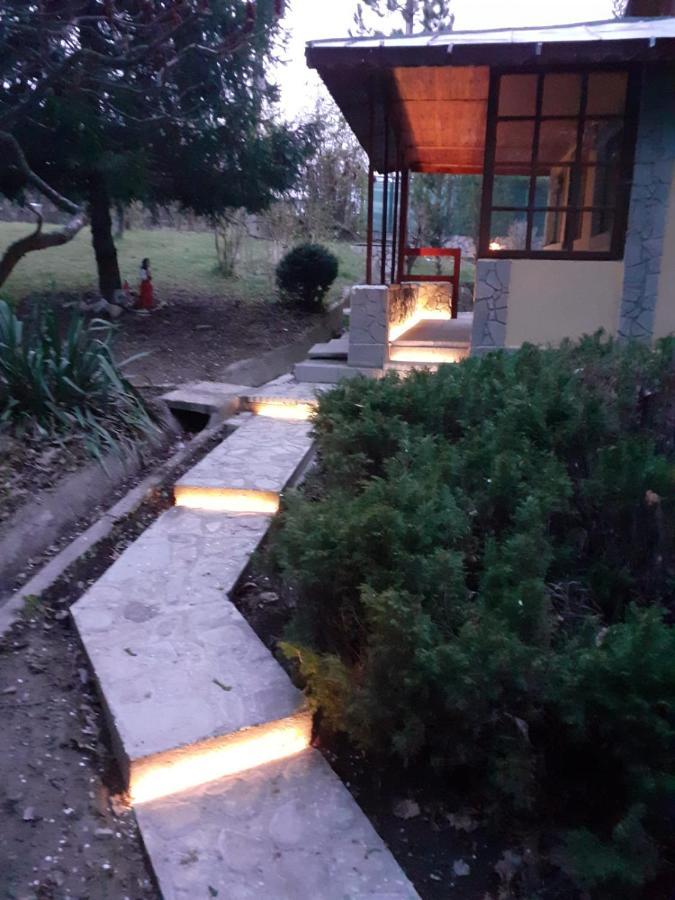 Cabana Din Padurea Valeni Vălenii de Munte Exteriör bild