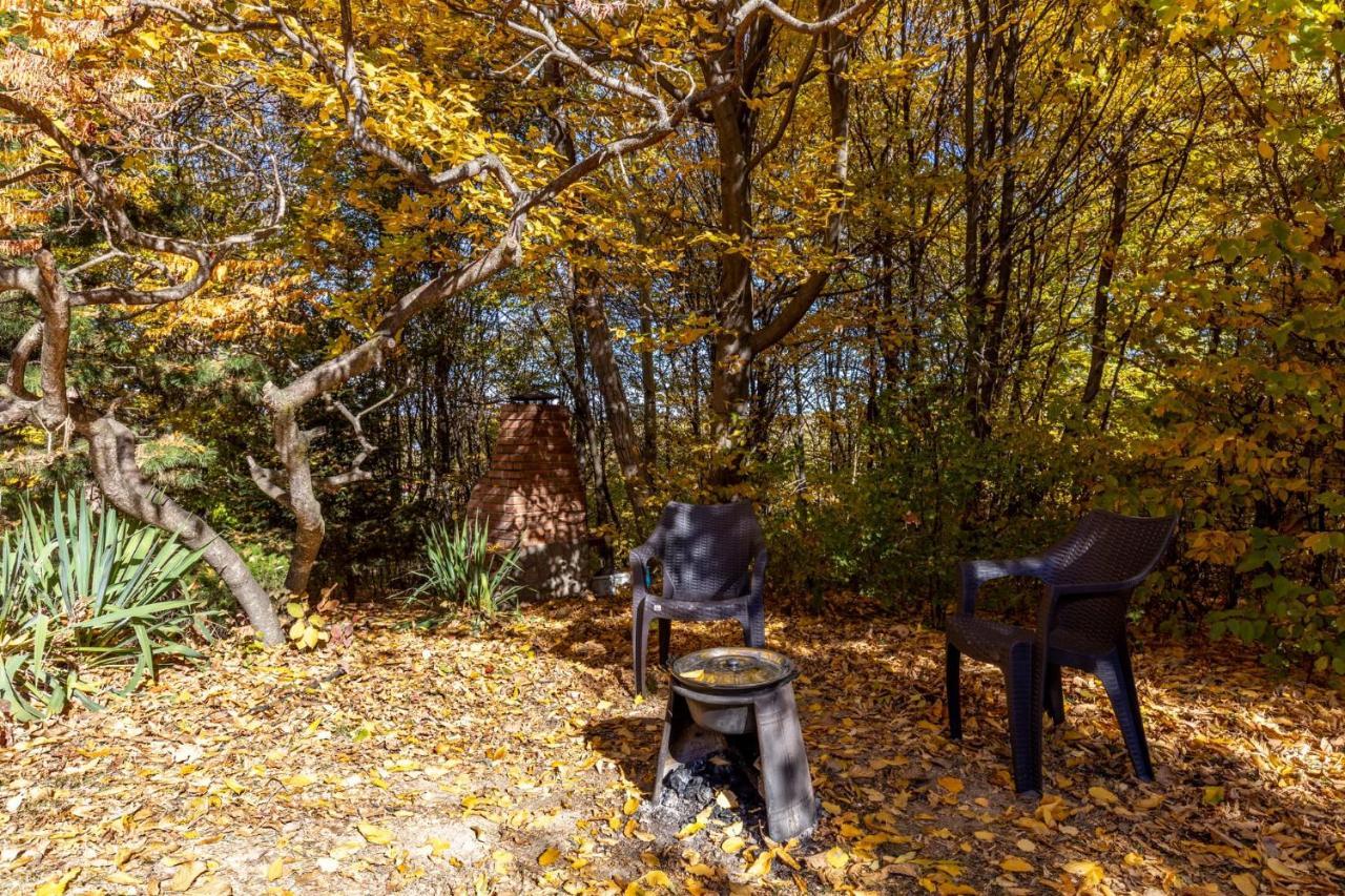 Cabana Din Padurea Valeni Vălenii de Munte Exteriör bild