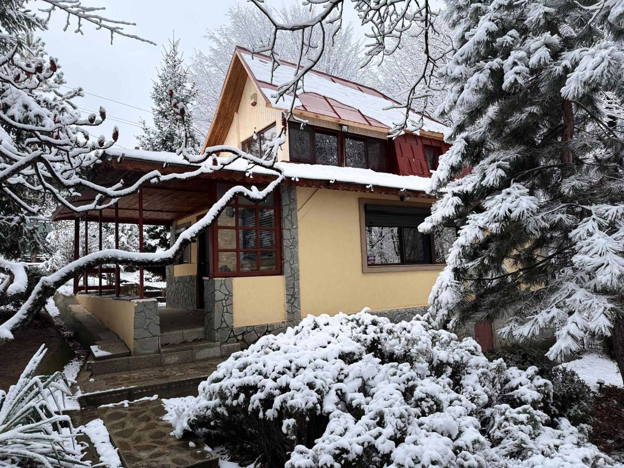 Cabana Din Padurea Valeni Vălenii de Munte Exteriör bild