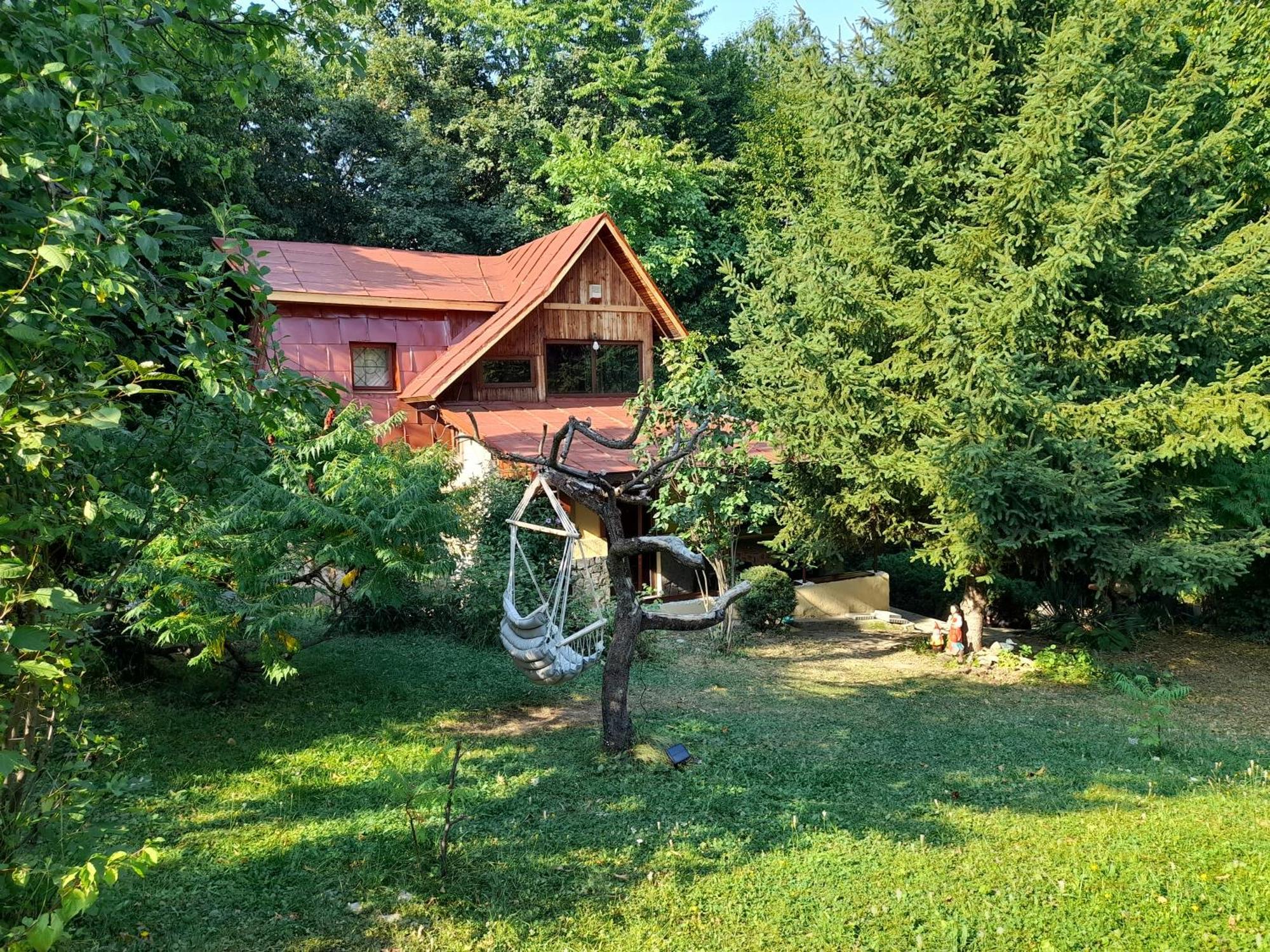 Cabana Din Padurea Valeni Vălenii de Munte Exteriör bild