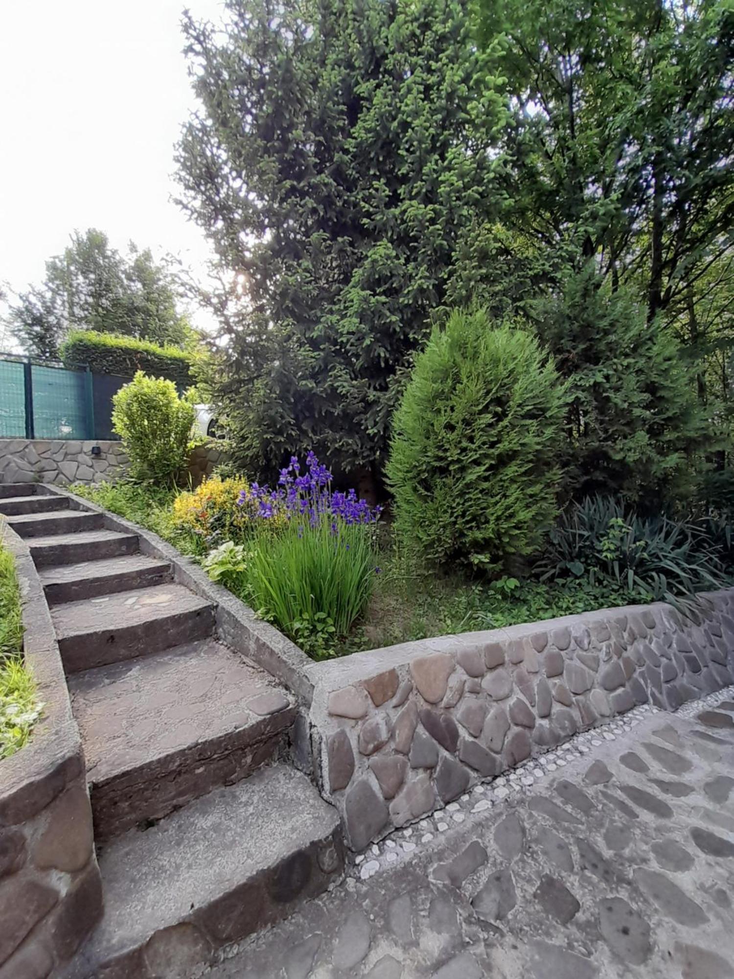 Cabana Din Padurea Valeni Vălenii de Munte Exteriör bild