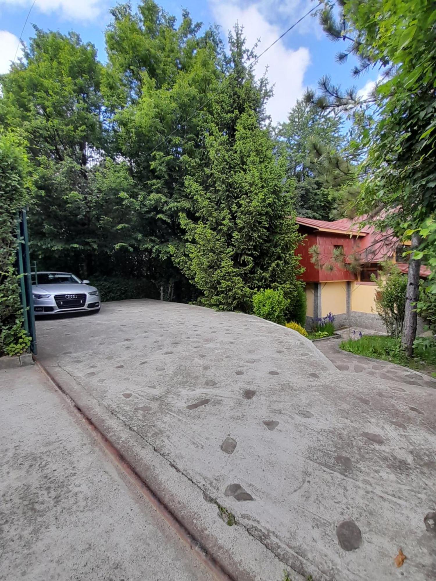 Cabana Din Padurea Valeni Vălenii de Munte Exteriör bild