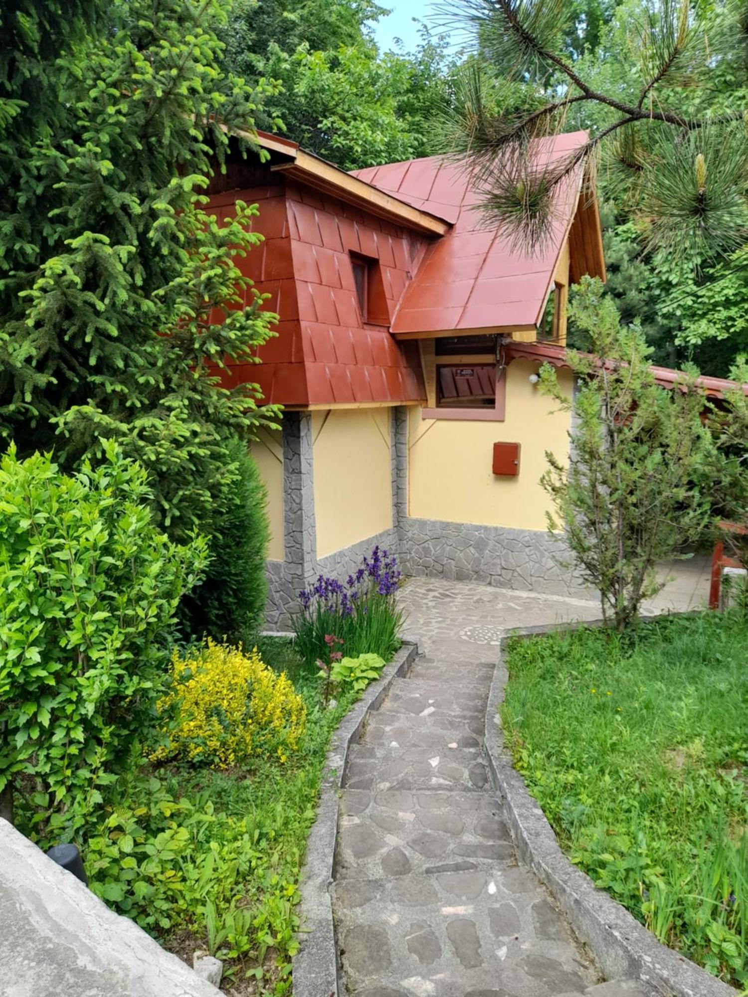 Cabana Din Padurea Valeni Vălenii de Munte Exteriör bild