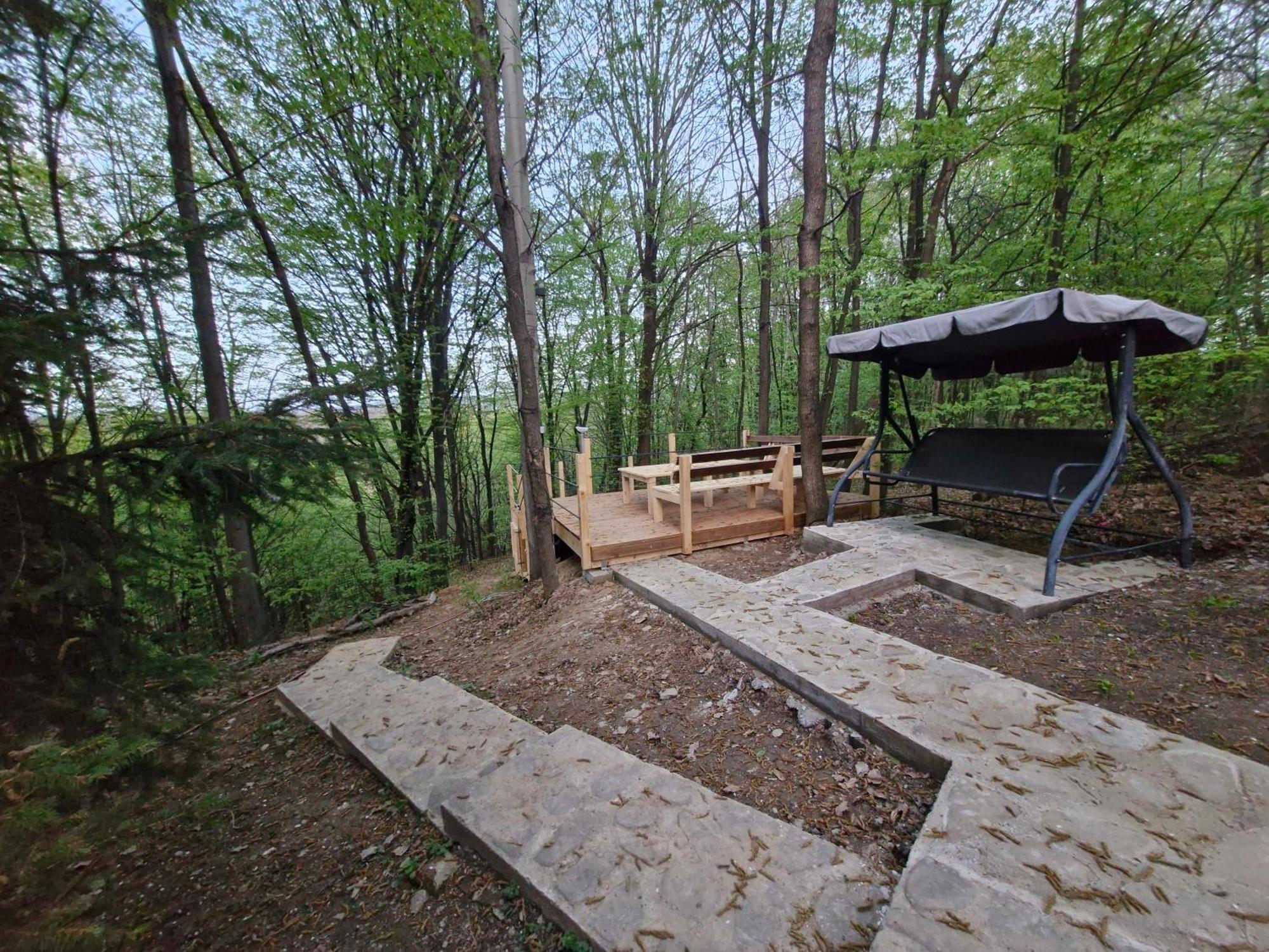Cabana Din Padurea Valeni Vălenii de Munte Exteriör bild